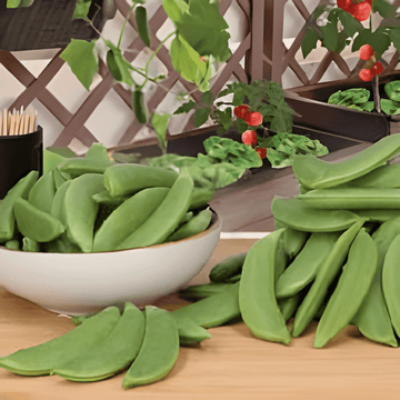 Sockerärtfrön Delikett (Pisum sativum) – ettårig grönsak