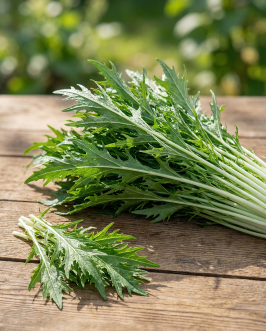 Mizuna bladgrönsak (Brassica rapa) – grönsaksfrön från SeedsChoice