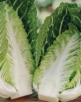 Kinakålsfrön Brassica rapa Pe Tsai grönsak