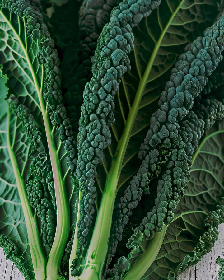 Grönkål Nero Di Toscana frön (Brassica oleracea) – ettårig grönsak