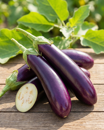 Aubergin Violetta Lunga medium tidig (Solanum melongena) – grönsaksfrön från SeedsChoice