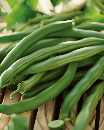 Buskbönor Ferrari 20g frön (Phaseolus vulgaris) – ettårig grönsak