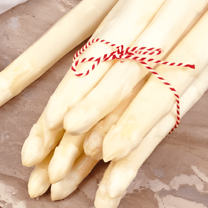 Argenteuil-frön (Asparagus officinalis) – flerårig