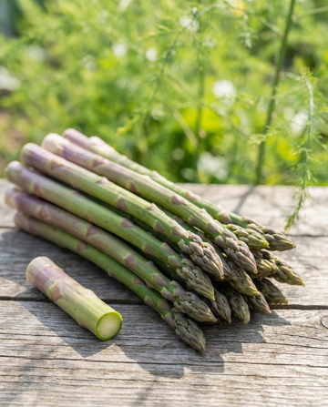 Albenga F1 (Asparagus officinalis) – perennt frö från SeedsChoice