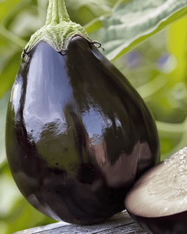 Auberginefrön Black Beauty – Solanum melongena, ettårig sort