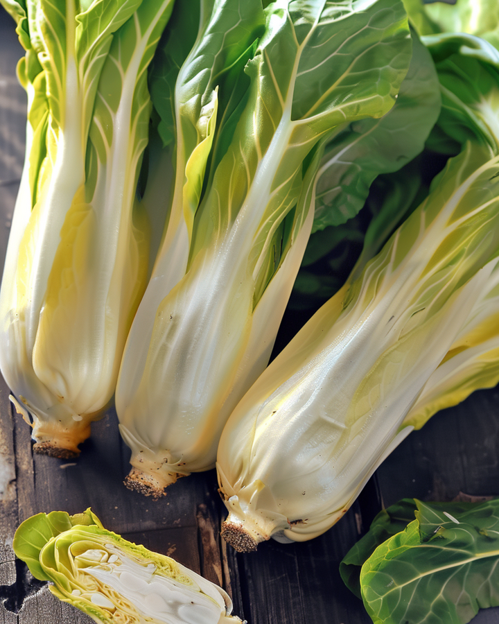 Brysselcikoria Videna frön (Cichorium intybus) – tvåårig grönsak