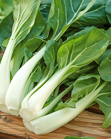 Japanese Pak Choy Taisai frön (Brassica campestris) – ettårig