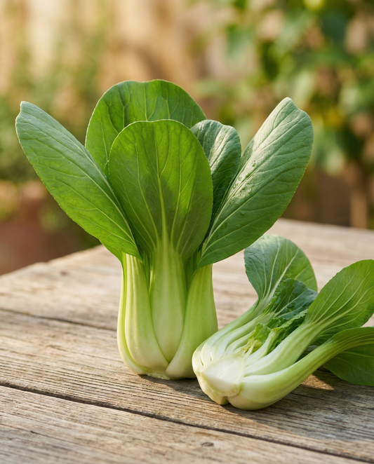 Japanese Pak Choy Taisai (Brassica campestris) – ettåriga frön från SeedsChoice