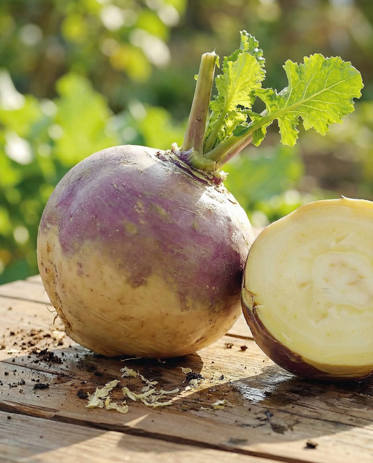 Kålrot Champion (Brassica napus) – frön för ettåriga grönsaker från SeedsChoice