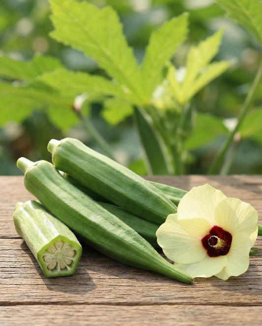 Okra Clemson Spineless (Abelmoschus esculentus) – ettåriga grönsaksfrön från SeedsChoice