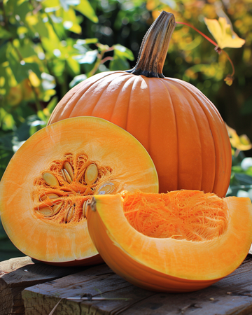 Pumpafrön Atlantic Giant (Cucurbita maxima) – ettårig grönsak