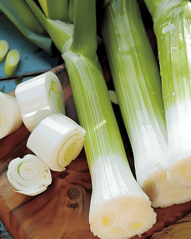 Purjolöksfrön Winterreuzen 3 Allium Porrum Ettårig Sort Vinterskörд