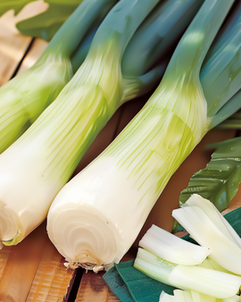 Purjolöksfrön blågrön vinter – ettårig grönsak Allium porrum