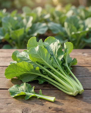 Namenia Greens (Brassica rapa) – ettåriga grönsaksfrön från SeedsChoice