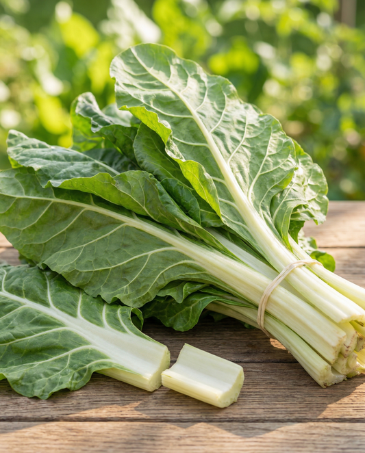 Mangold Lucullus (Beta vulgaris) – ettåriga grönsaksfrön från SeedsChoice