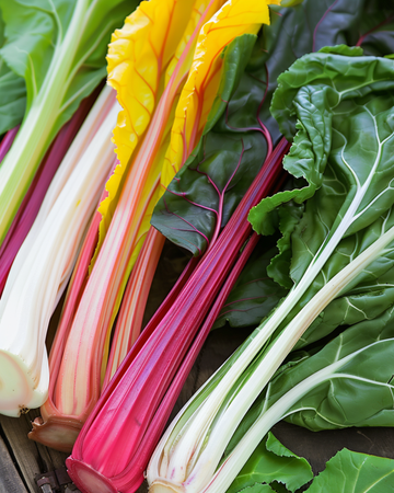 Regnbågsmangoldfrön Bright Lights Rainbow (Beta vulgaris) – ettårig grönsak