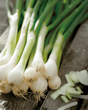 Knippelök White Lisbon vårfrön (Allium cepa) – ettårig grönsak