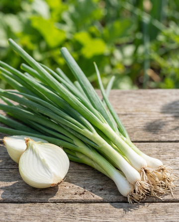 Knippelök White Lisbon vår (Allium cepa) – ettåriga grönsaksfrön från SeedsChoice