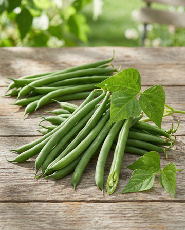 Dvärgbuskböna Domino 25g (Phaseolus vulgaris) – frön till ettårig grönsak från SeedsChoice