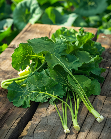 Rovblast Namenia Bladmoes 50g frön (Brassica rapa) – ettårig grönsak