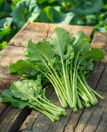 Rovblast Namenia Bladmoes 50g (Brassica rapa) – ettåriga grönsaksfrön från SeedsChoice