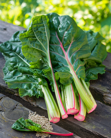 Mangoldfrön Leafy Green 50g (Beta vulgaris) – grönsak