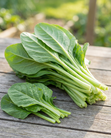 Mangold Leafy Green 50g (Beta vulgaris) – grönsaksfrön från SeedsChoice