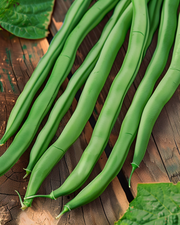 Buskböna Dawson 50g frön (Phaseolus vulgaris) – ettårig grönsak