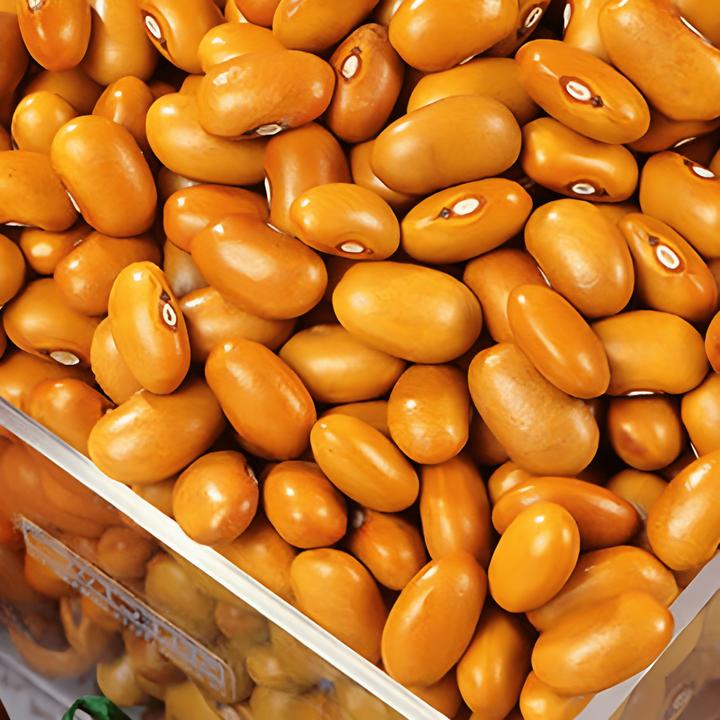 Buskböna Brown Dutch 100g frön (Phaseolus vulgaris) – ettårig grönsak