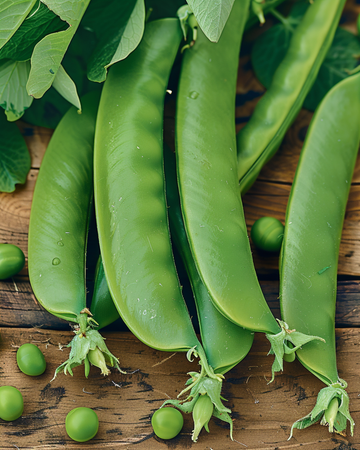 Kelvedon Wonder ärtfrön (Pisum sativum) – ettårig grönsak