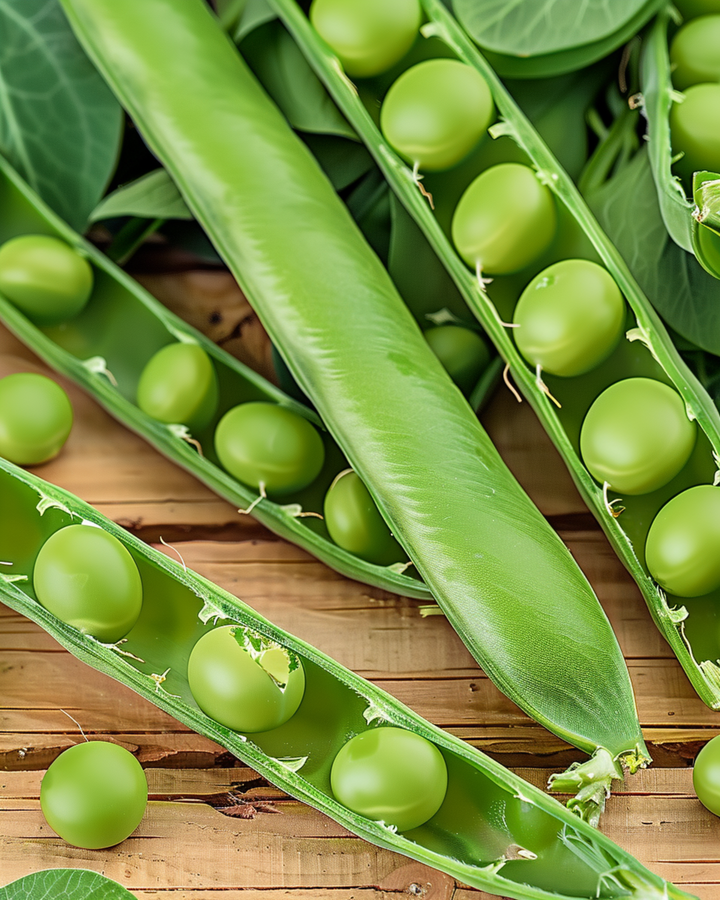 Ärtfrön Eminent (Pisum sativum) – ettårig grönsak
