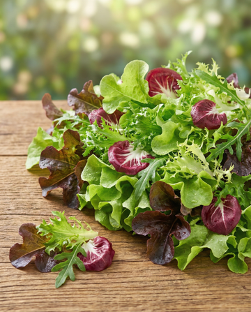 Franska salladsfrön Mesclun – ekologisk ettårig blandning