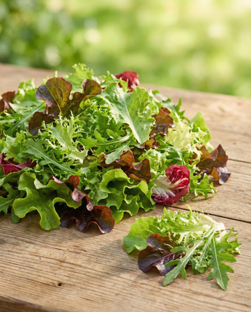Fransk sallad Mesclun – ekologisk ettårig fröblandning från SeedsChoice
