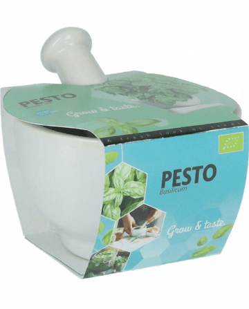 Basilika Mortar Set frön (Ocimum basilicum) – ekologisk ört