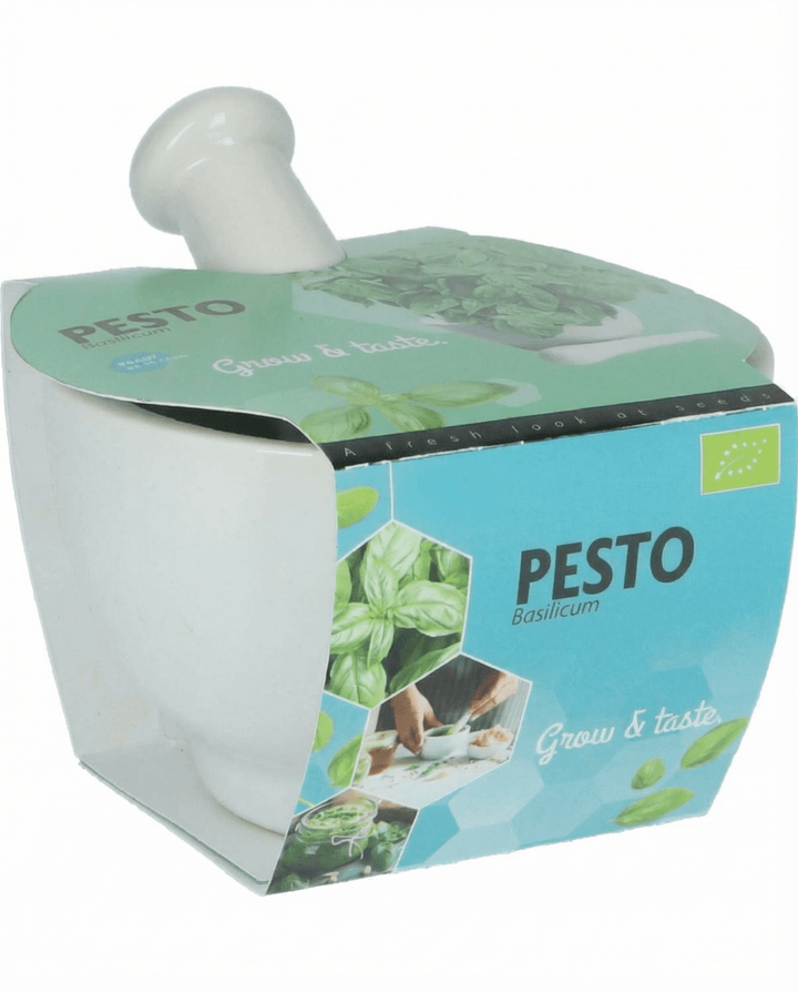 Basilika Mortar Set frön (Ocimum basilicum) – ekologisk ört