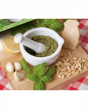 Basilika Mortar Set (Ocimum basilicum) – ekologiska örter från SeedsChoice