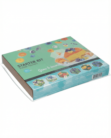 Edible Starter Set (Borago officinalis) – odlingskit frön från SeedsChoice