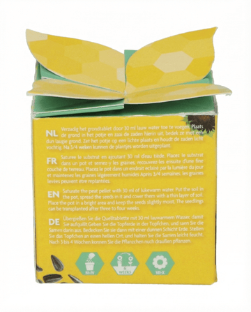 Dvärgsolros present frön – ettårigt odlingskit från SeedsChoice