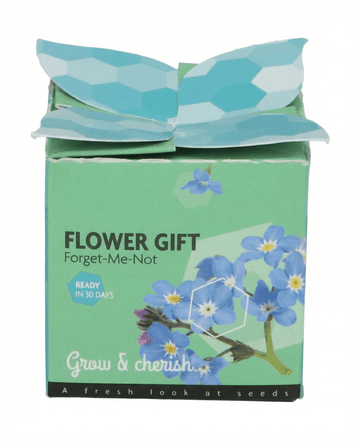 Myosotis alpestris – Forget-Me-Not Terracotta Pot 0.1g odlad från frö