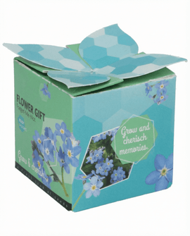 Förgätmigejfrön Myosotis alpestris tvåårig odlingssats terrakottakruka 0,1 g