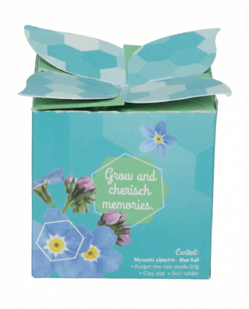 Forget-Me-Not terrakottakruka 0,1 g (Myosotis alpestris) – frön till tvåårig odlingssats från SeedsChoice