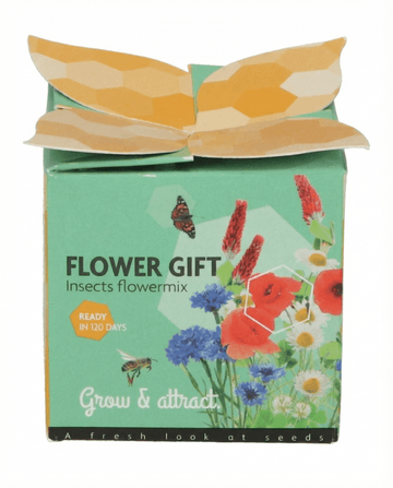 Insektsmix Terrakottakruka Presentset – odlingskit frön från SeedsChoice