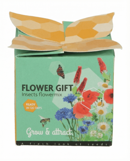 Insektsmix Terrakottakruka Presentset – odlingskit frön från SeedsChoice