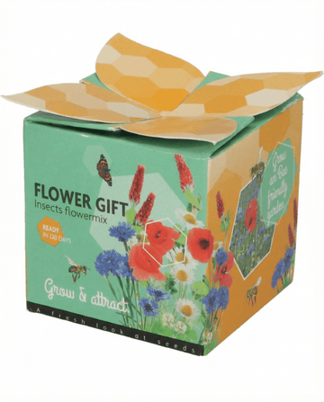 Insektsmix Terrakottakruka Presentset – odlingskit från SeedsChoice