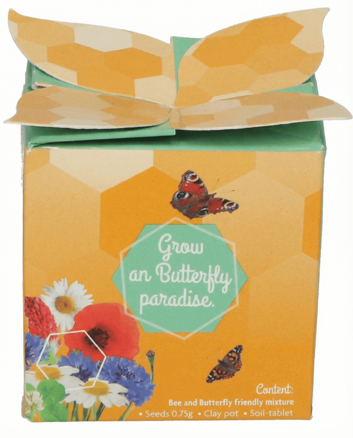 Insektsmix Terrakottakruka Presentset frön – odlingskit