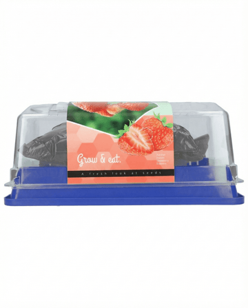 Jordgubbe Grandian F1 Greenhouse frön (Fragaria × ananassa) – fleårigt odlingskit