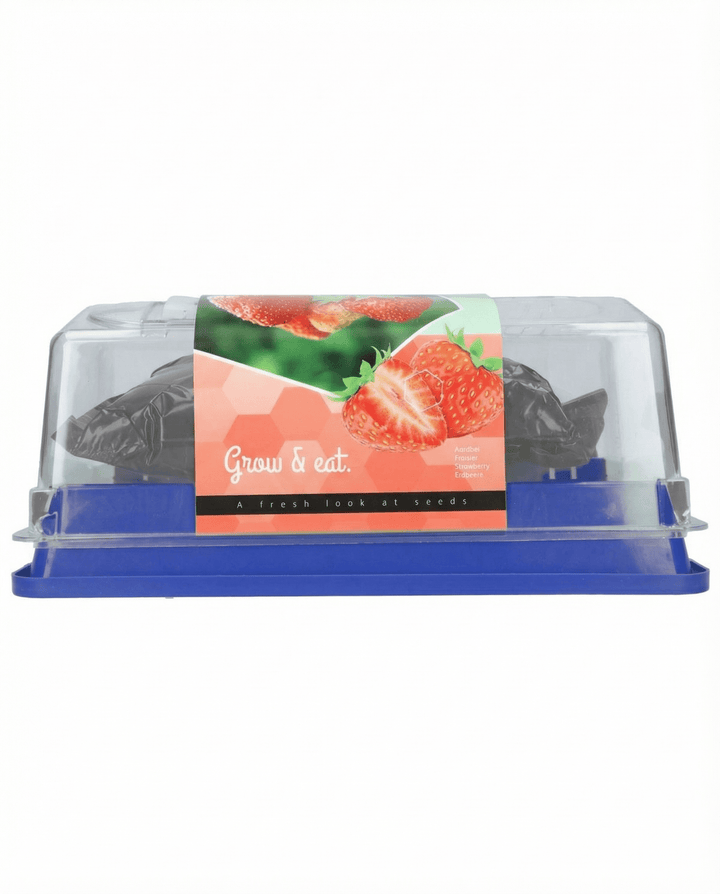 Jordgubbe Grandian F1 Greenhouse frön (Fragaria × ananassa) – fleårigt odlingskit