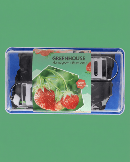 Jordgubbe Grandian F1 Greenhouse (Fragaria × ananassa) – fleårigt odlingskit med frön från SeedsChoice
