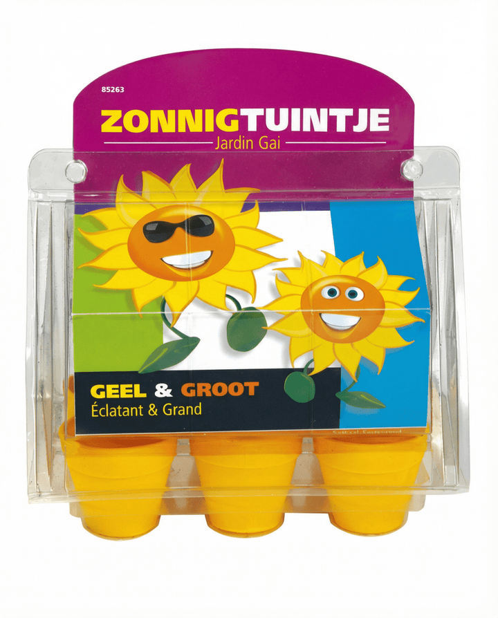 Solros 50 Cm Kids frön (Helianthus annuus) – ettårigt odlingskit