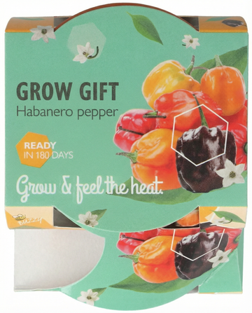 Habanero Pepper Terrakottakruka frön – odlingskit från SeedsChoice